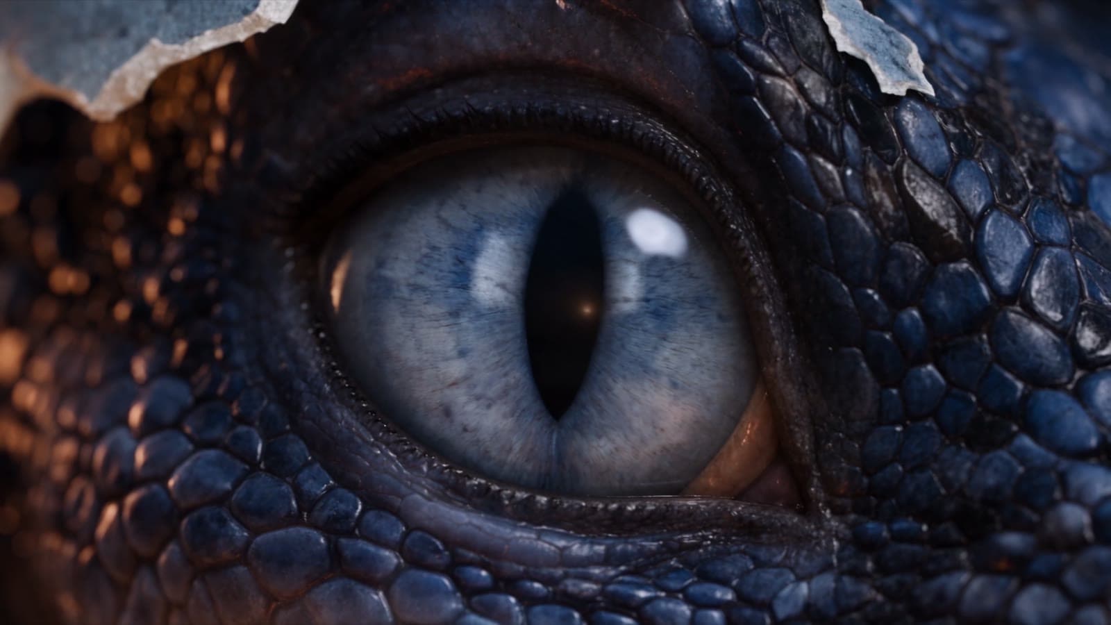 A dragon's eye opening